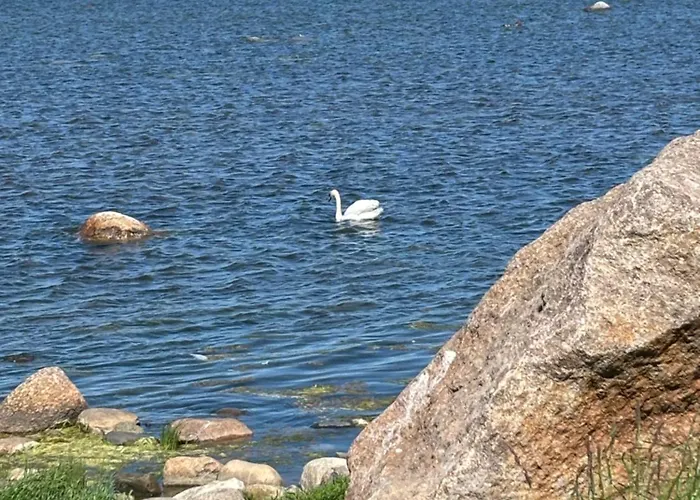 Luxury Waterfront With Sea Views, Sunset Terraces And Free Parking, One With A Huum Sauna, The Other With A Bathtub Appartement Tallinn