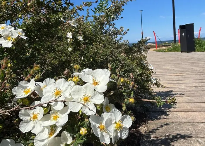 Korter Luxury Waterfront With Sea Views, Sunset Terraces And Free Parking, One With A Huum Sauna, The Other With A Bathtub Tallinn